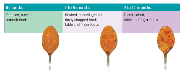 Un tableau montrant des textures d’aliments pour : 

6 mois : Aliments filtrés, en purée, crémeux. Une cuillère avec une purée très lisse de patates douces. 

7 à 8 mois : Aliments de la table ou à manger avec les doigts, émincés, râpés, finement hachés. Une cuillère avec de la patate douce en purée, mais légèrement texturée. 

9 à 12 mois : Aliments de la table ou à manger avec les doigts en dés ou en cubes. Une cuillère avec de la patate douce coupée en cubes.