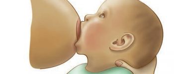 A baby latched on the nipple.
