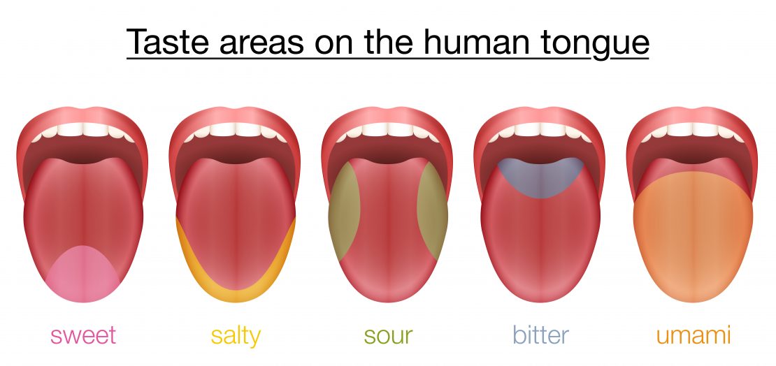 Illustrations showing the placement of the taste areas on the tongue - sweet, salty, sour, bitter and umami.)